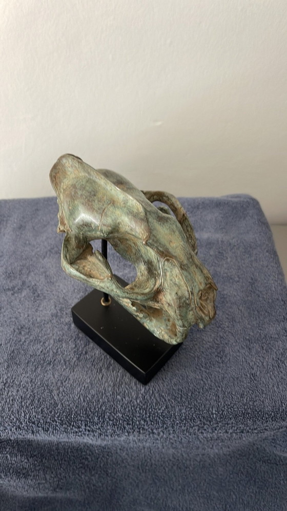 Image 1 of Bronze Head Leopard