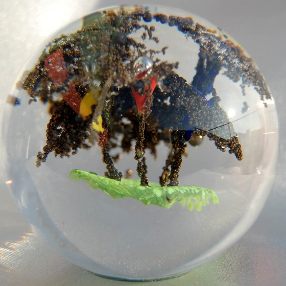 Image 1 of Beautiful clear Oljos glass drafts crystal paperweight 'copper trees'