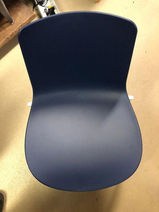 Enea Lottus Chair Dark Blue