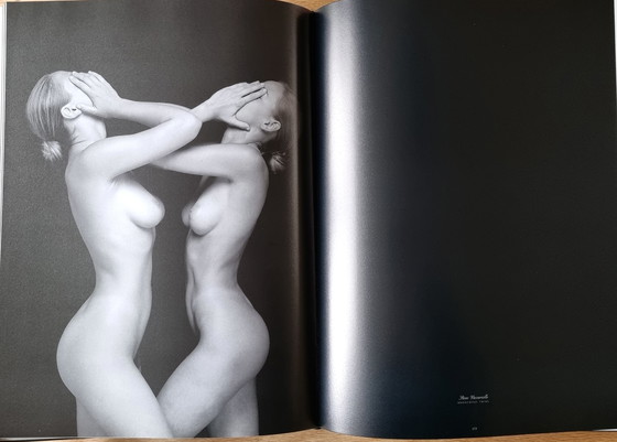 Image 1 of Nudes 3 boek