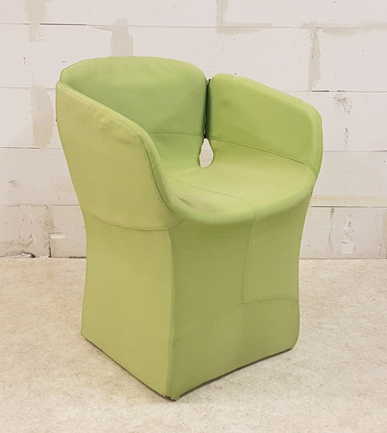 Image 1 of 6 Moroso Bloomy # Patricia Urquila