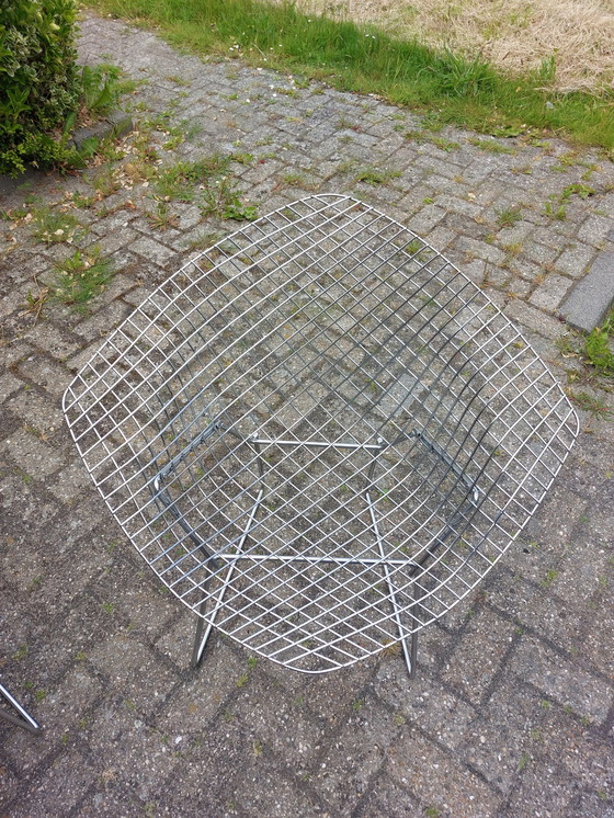 Image 1 of 2 Knoll Bertoia chairs