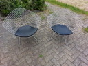 2 sedie Knoll Bertoia