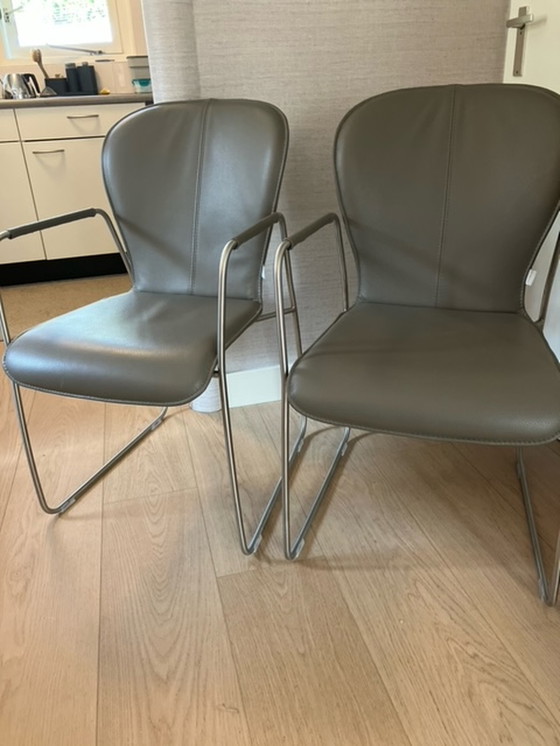 Image 1 of 2x Bert Plantagie Blake sled chairs