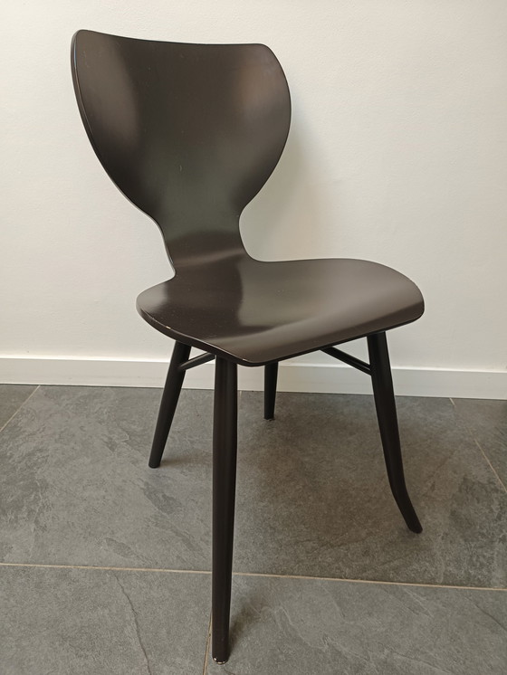 Image 1 of 6 sedie di design Linteloo Tulipani