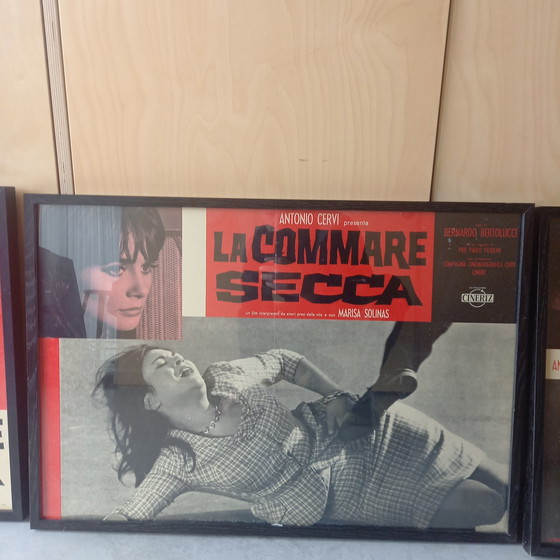 Image 1 of 10x Bernardo Bertolucci sur le film : La Commare Secca affiches de film encadrées