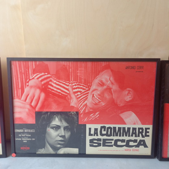 Image 1 of 10x Bernardo Bertolucci sur le film : La Commare Secca affiches de film encadrées