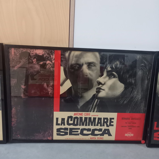 Image 1 of 10x Bernardo Bertolucci sur le film : La Commare Secca affiches de film encadrées