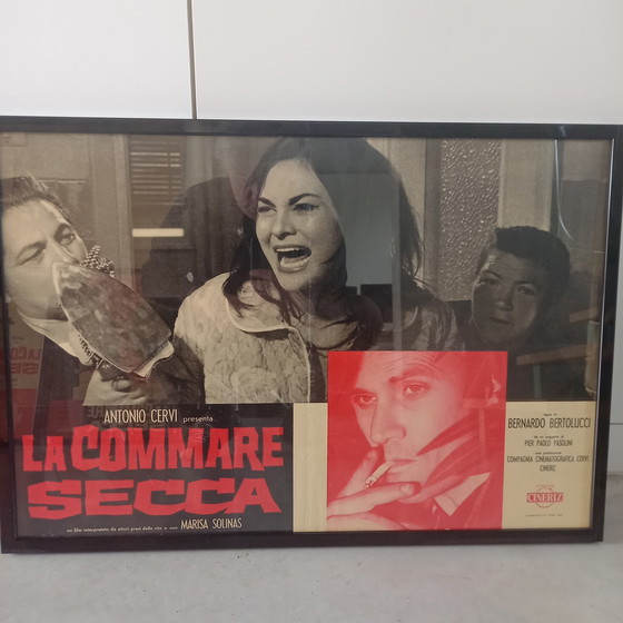 Image 1 of 10x Bernardo Bertolucci sur le film : La Commare Secca affiches de film encadrées