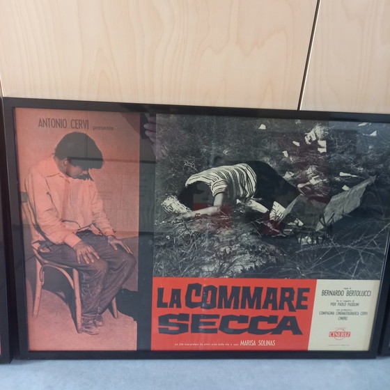 Image 1 of 10x Bernardo Bertolucci sur le film : La Commare Secca affiches de film encadrées