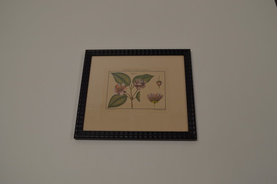 Image 1 of Frame Flowers