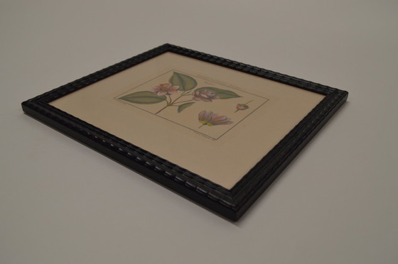 Image 1 of Frame Flowers