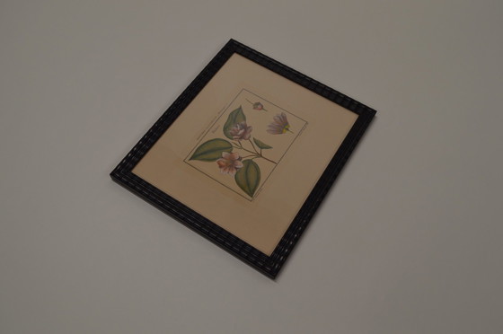 Image 1 of Frame Flowers