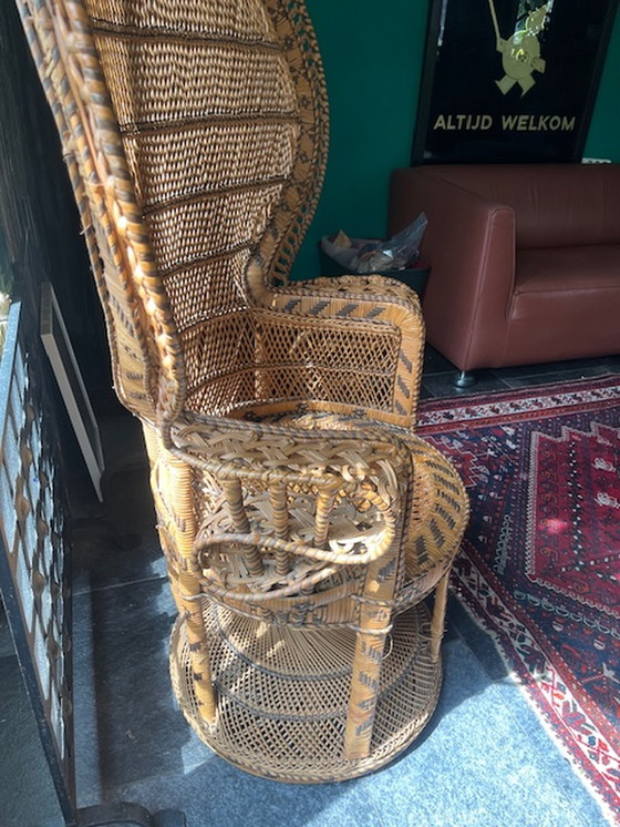 Image 1 of 1 x peacock/peacock chair in rattan 1970's