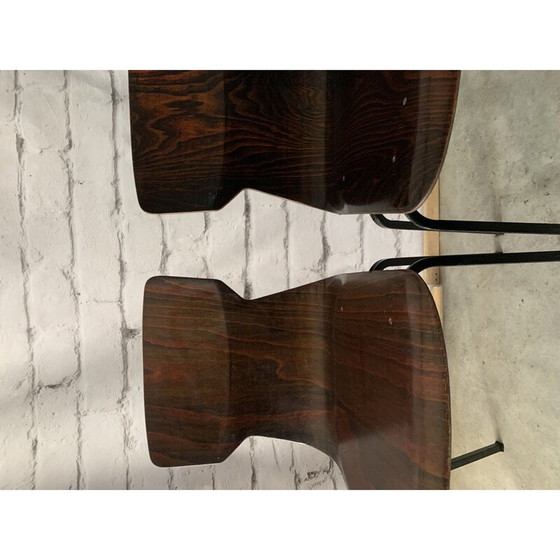 Image 1 of Pair of vintage chairs in wood and resin, 1960