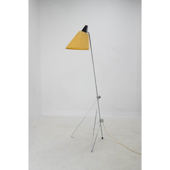 Image 1 of Lampada da terra vintage di Hurka per Napako, anni '50