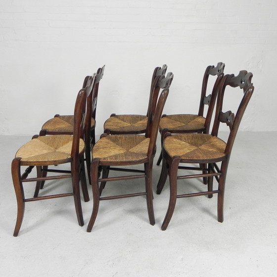 Image 1 of Set of 6 peasant chairs with wicker seat, circa 1900