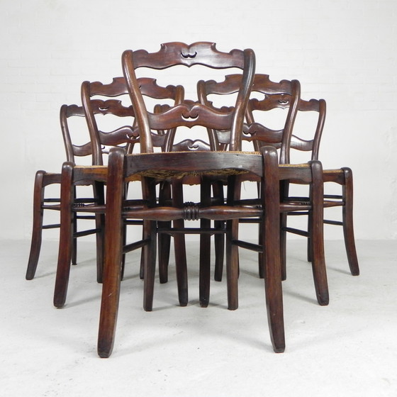 Image 1 of Set of 6 peasant chairs with wicker seat, circa 1900