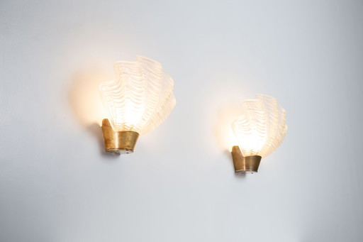 Large Coquilles Wall Lights