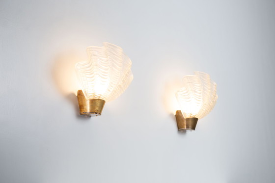 Image 1 of Large Coquilles Wall Lights