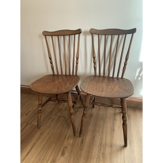 Image 1 of Pair of vintage Tacoma chairs by Baumann