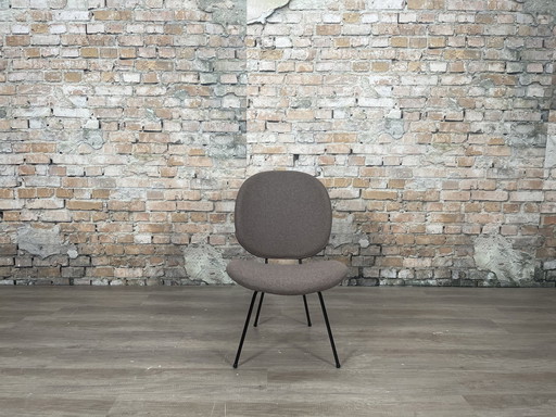 Gispen Kembo 301 Easy Chair Brown Gray