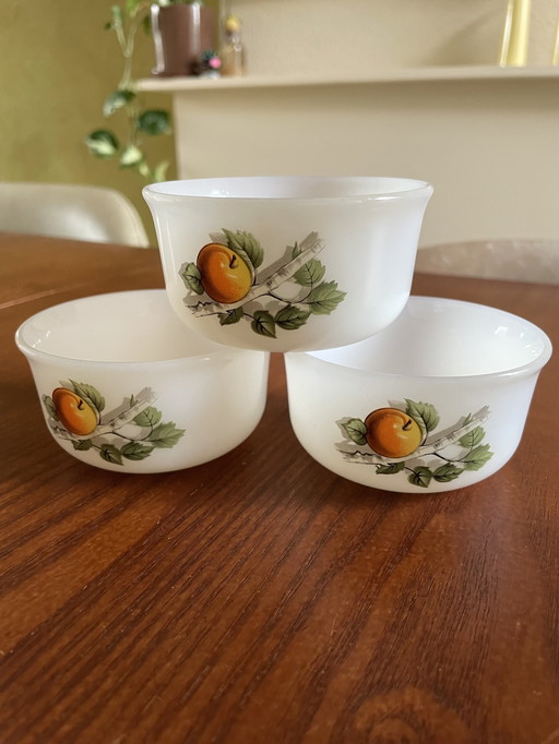 Vintage Arcopal Frutas De Francia  