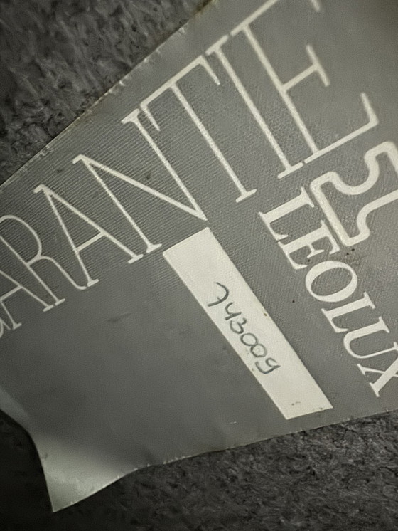 Image 1 of 2x poltrona Leolux Vintage