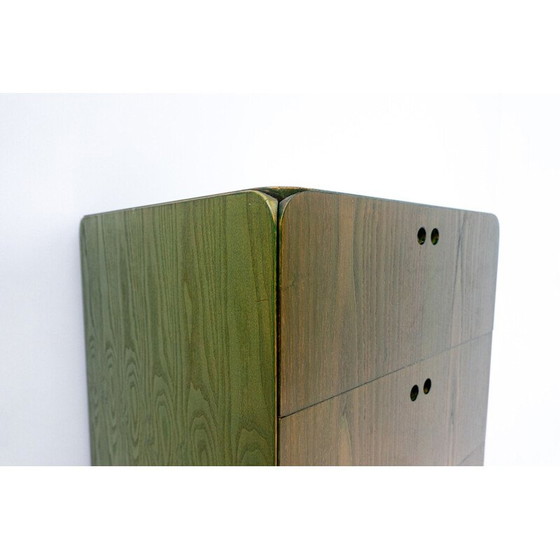 Image 1 of Cómoda alta de madera verde de mediados de siglo de Derk Jan de Vries