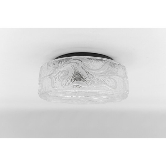 Image 1 of Lampada da soffitto botanica vintage in vetro trasparente, Germania 1960