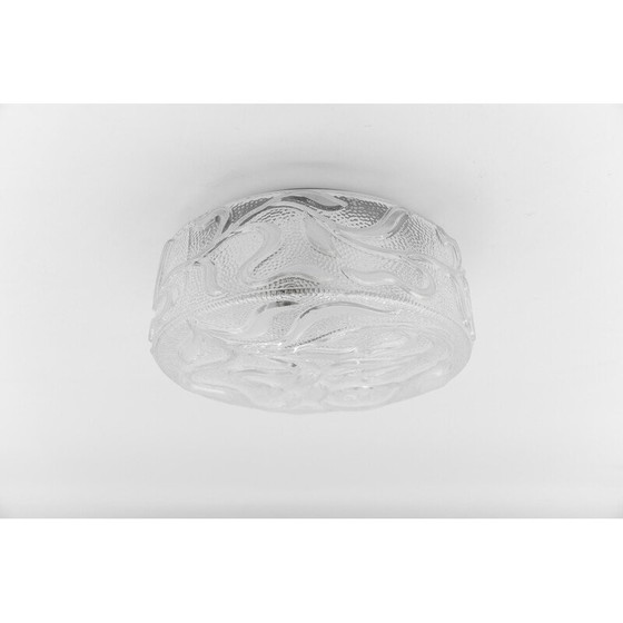 Image 1 of Lampada da soffitto botanica vintage in vetro trasparente, Germania 1960