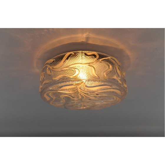 Image 1 of Lampada da soffitto botanica vintage in vetro trasparente, Germania 1960