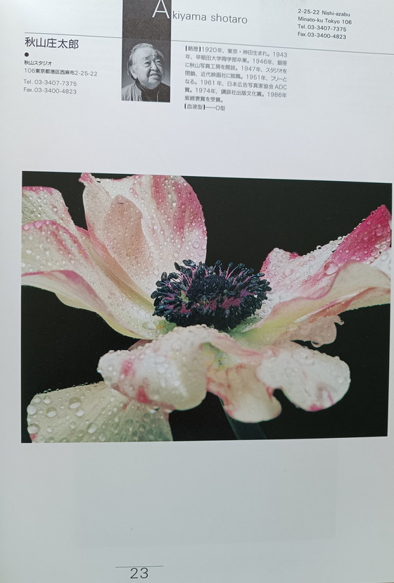 Image 1 of New Japanese Photography boek