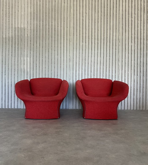 Ensemble Moroso "Bloomy" chaises par Patricia Urquiola