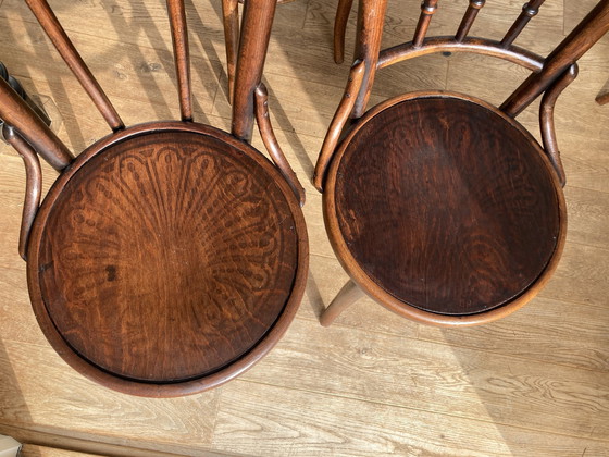 Image 1 of 6X Thonet And Other Bentwood Chairs