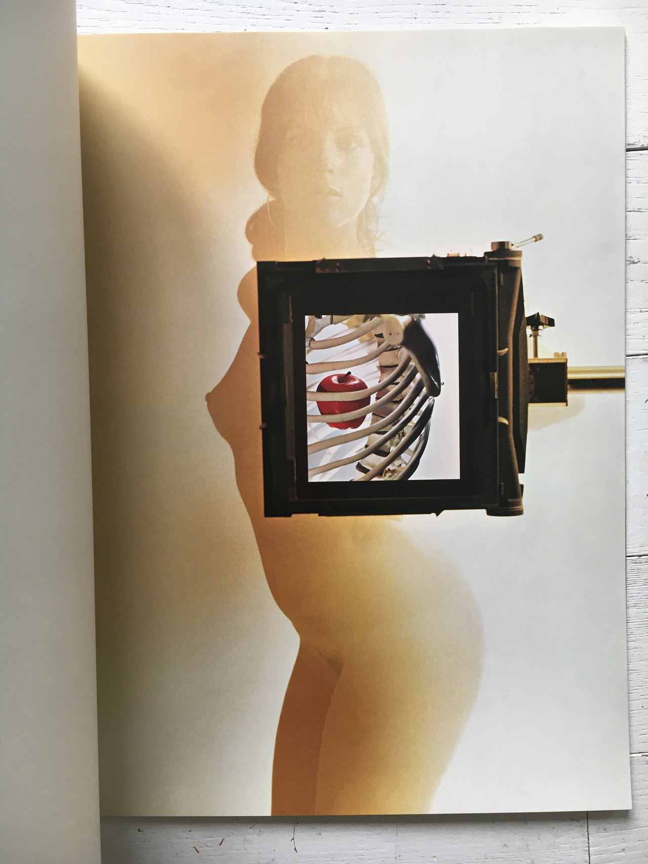 Sam Haskins Posters 1972 first edition | €290 | Whoppah
