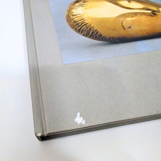 Image 1 of Brancusi - Sublimating From Form - Hardcover Book