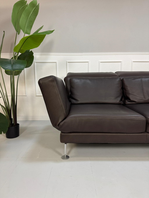 Brühl Moule Designer Sofa Leather Brown Couch