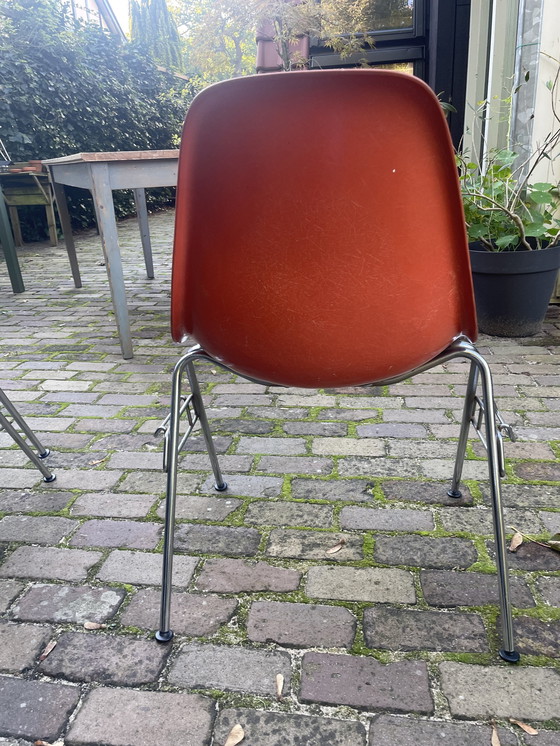 Image 1 of 6x Eames Fiberglass Side Chair DSS, Herman Miller 1960'S