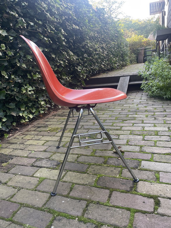 Image 1 of 6x Eames Fiberglass Side Chair DSS, Herman Miller 1960'S