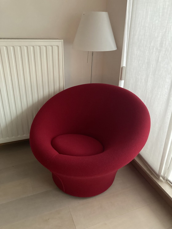 Image 1 of Artifort Armchair