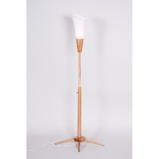 Image 1 of Vintage ash wood floor lamp for Úluv, Czechoslovakia 1960
