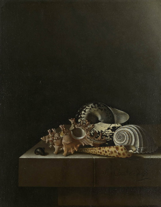 Image 1 of Adriaen Coorte ---Still Life With Shells