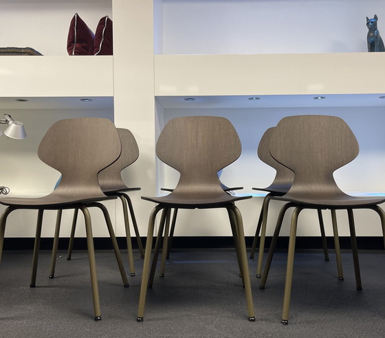 Image 1 of Pode Chiba Dining Chairs (6)