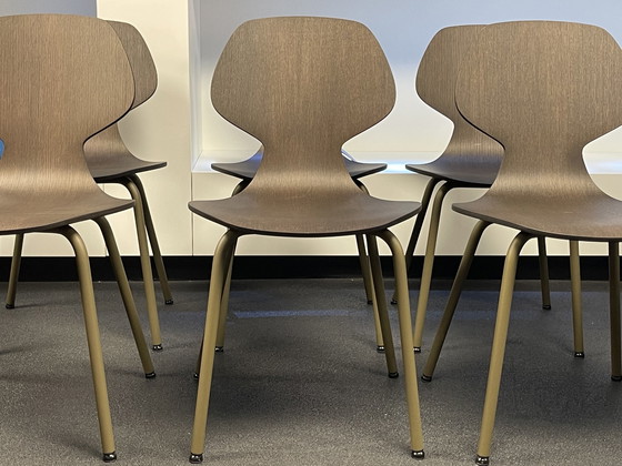 Image 1 of Pode Chiba Dining Chairs (6)