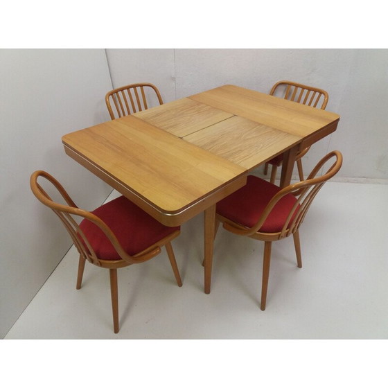 Image 1 of Vintage dining set by Antonín Šuman for Fa Jiton and Ton, Czechoslovakia 1960