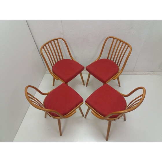 Image 1 of Vintage dining set by Antonín Šuman for Fa Jiton and Ton, Czechoslovakia 1960