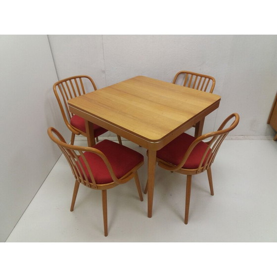 Image 1 of Vintage dining set by Antonín Šuman for Fa Jiton and Ton, Czechoslovakia 1960