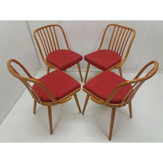 Image 1 of Vintage dining set by Antonín Šuman for Fa Jiton and Ton, Czechoslovakia 1960