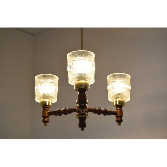Image 1 of Lampadario vintage in vetro, legno e ottone di Jilove u Decina, Cecoslovacchia, 1970